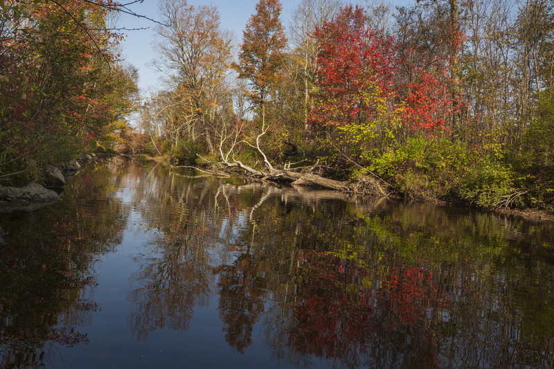 reflections_576A0201.jpg