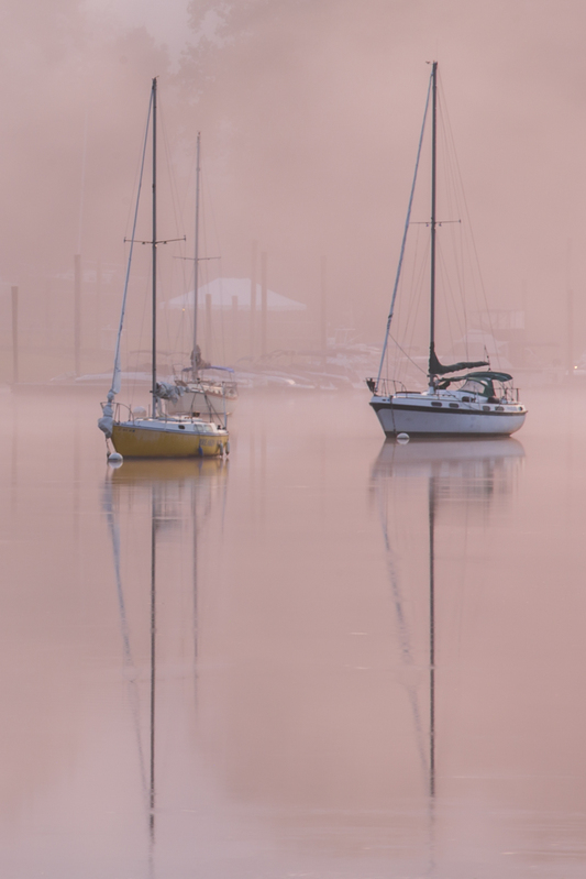 sail boats_576A8085.jpg