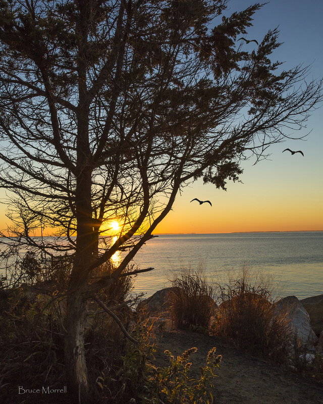 sunrise_248.jpg