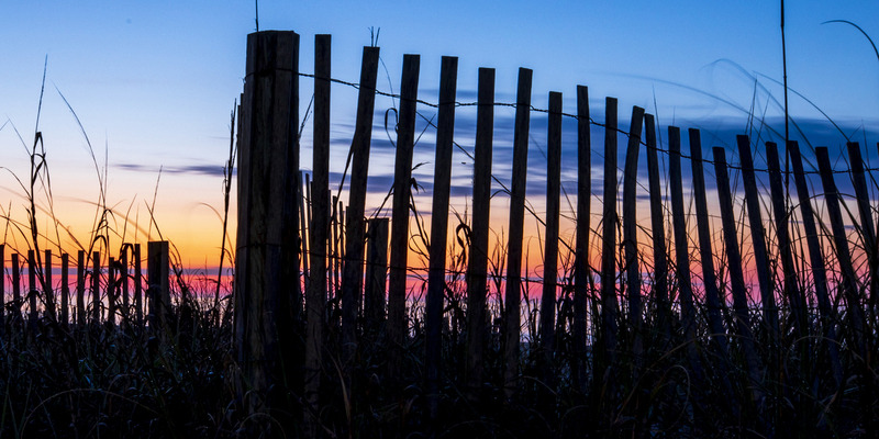 sunrise_2M0A0730_fence_16x32.jpg