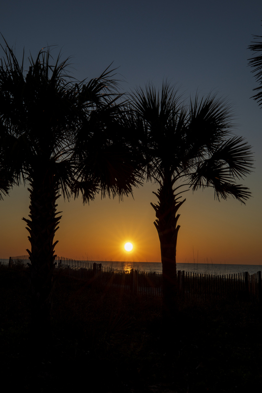 sunset_2M0A0249_12x18.jpg
