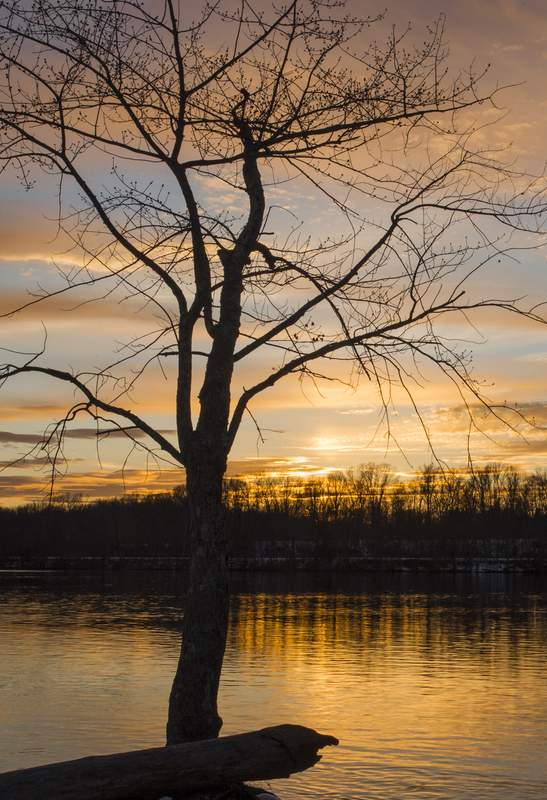 sunset_576A4558_24x36.jpg
