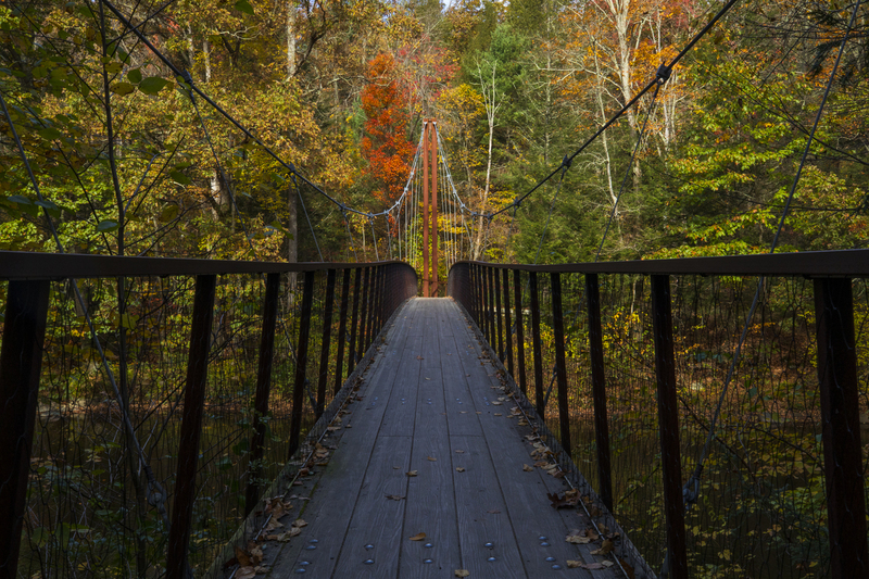 suspended bridge_20x30_2M0A8186(1).jpg