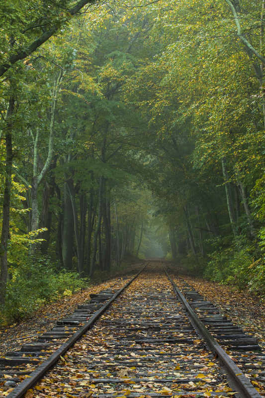 train tracks_12x18_2M0A7519.jpg