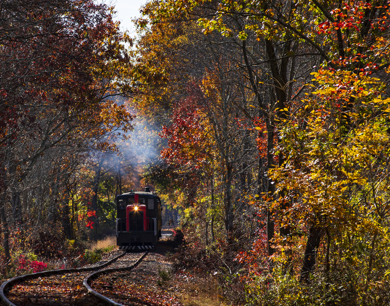 train_2M0A9333(1).jpg