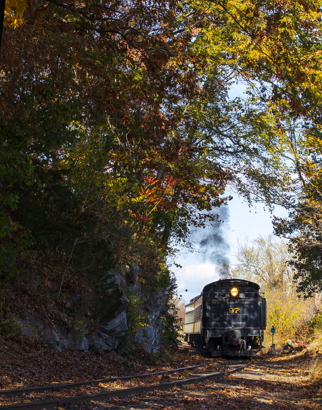 train_2M0A9359(1).jpg