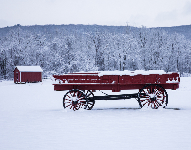 winter abstract_2M0A1534.jpg