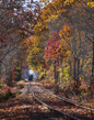 2M0A9256_Train.jpg
