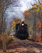2M0A9278_Train.jpg