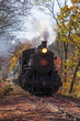 2M0A9282_Train(1).jpg