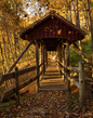 Autumn Bridge-2M0A0670.jpg