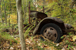 Autumn rusty truck_002.jpg