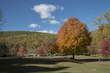 autum 24x36(1).jpg