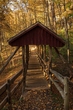 bridge_2M0A0647(1).jpg