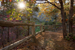 fence_2M0A0626.jpg