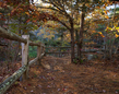fence_2M0A0631.jpg