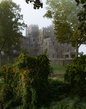 foggy castle_2M0A7546(1).jpg