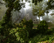 foggy castle_2M0A7555.jpg