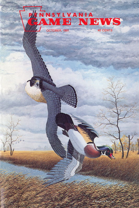 1981-10 October PGN Falcon(1).jpg