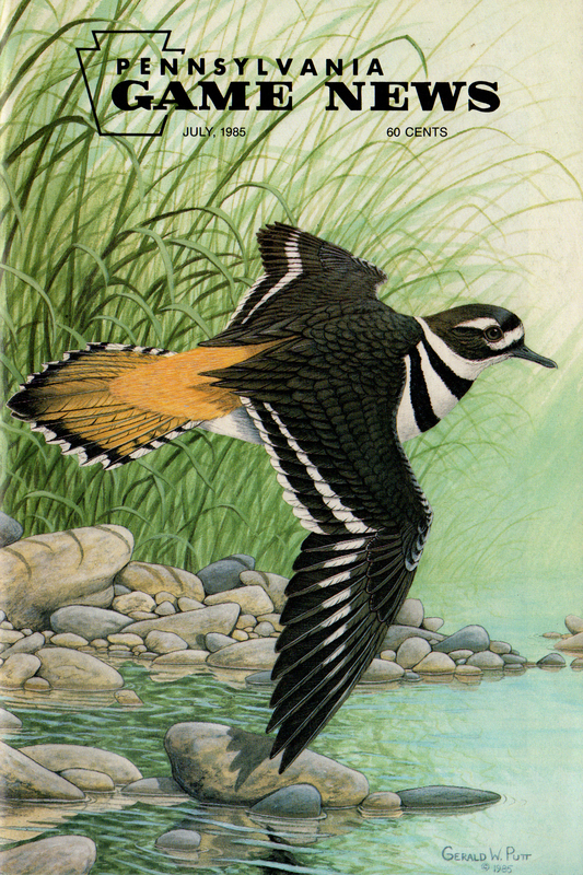 1985-07 July PGN Killdeer(1).jpg