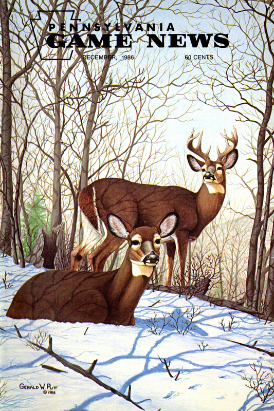 1986-12 December PGN Deer(1).jpg