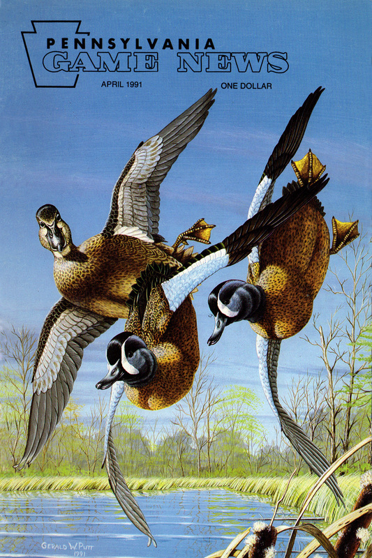 1991-04 April PGN Blue Wings.jpg