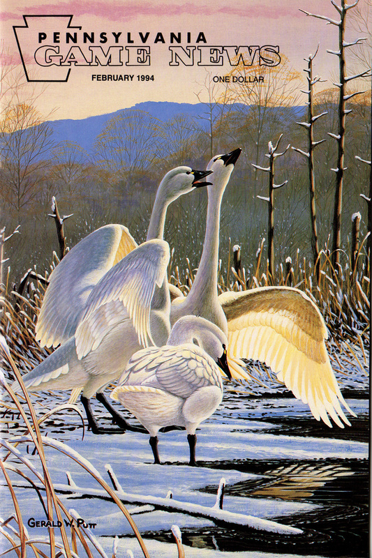 1994-02 February PGN Swans.jpg