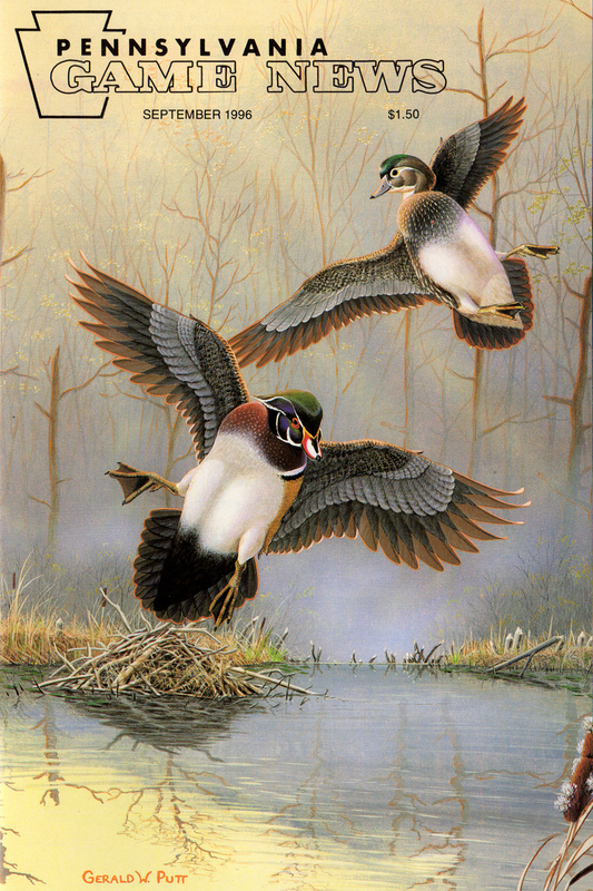 1996-09 September PGN Flying Woodies.jpg