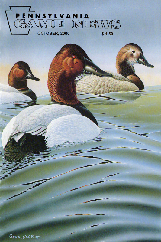 2000-10 October PGN Canvasbacks.jpg
