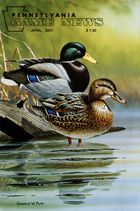 2001-04 April PGN Mallards 20.jpg