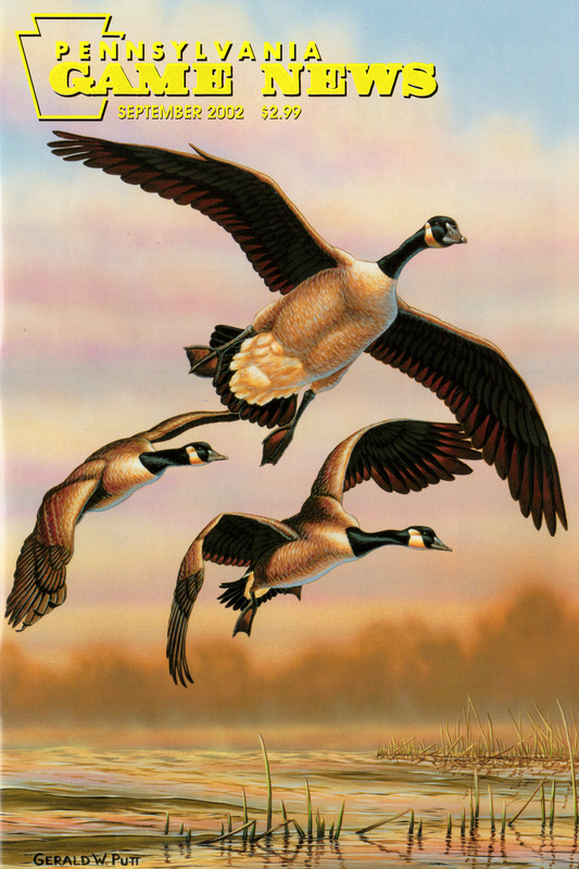 2002-09 September PGN Geese.jpg