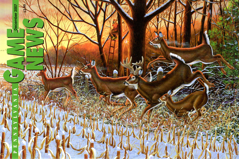 2007-12 December PGN Deer.jpg