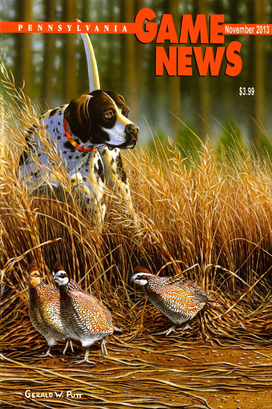 2013-11 November PGN  Pointers.jpg