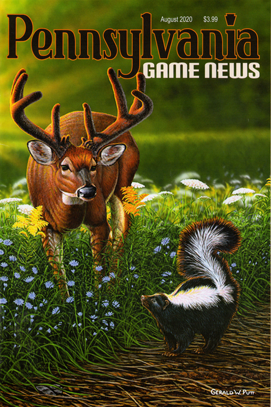 2020-08 August PGN Buck n Skunk  48(1).jpg