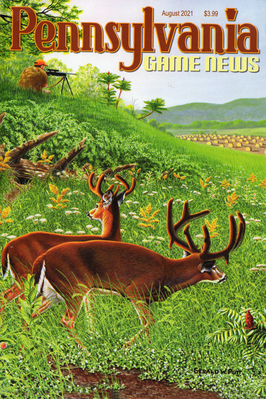 2021-08 August PGN Velvet Bucks n Hunter  52.jpg