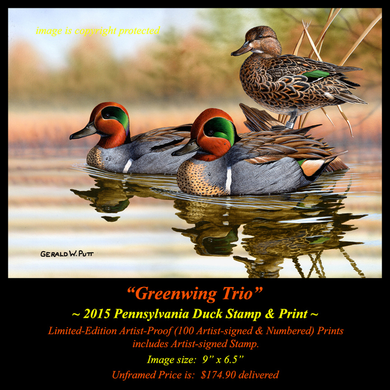 DS50 2015 PA Duck Stamp Print 72(1).jpg