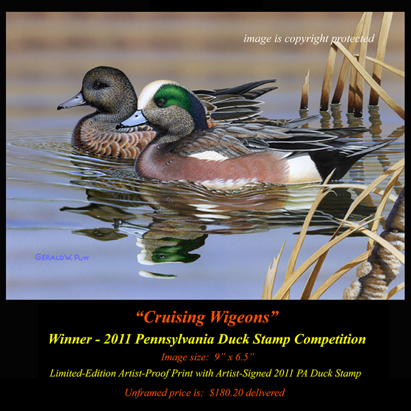 DS52 2011 PA DS Winner 72(1).jpg