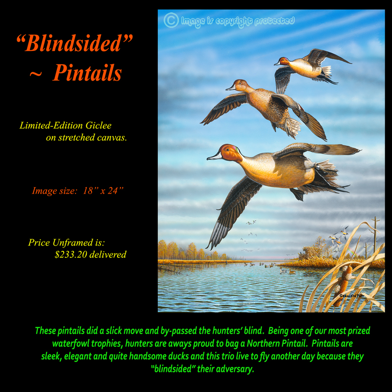 G 113 Blindsided for gic Web.jpg