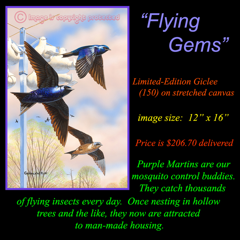 G 116 Flying Gems.jpg