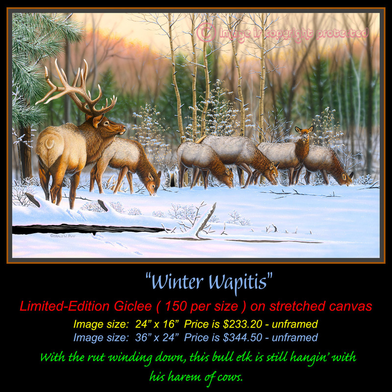 G 117 Winter Wapiti.jpg