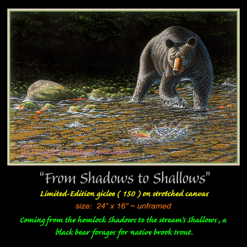 G 119 From Shadows to Shallows(1).jpg