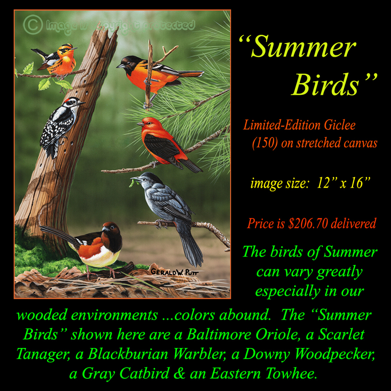 G 120 Summer Birds.jpg