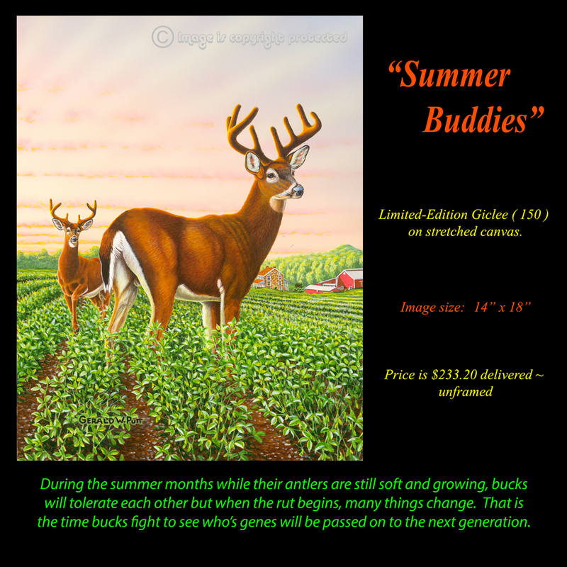 G125 Summer Buddies.jpg
