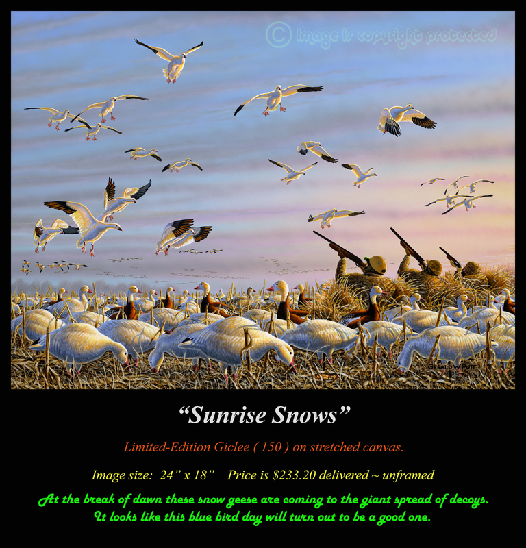 G131 Sunrise Snows  100(1).jpg