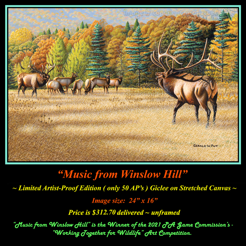 G133 Music from Winslow Hill - Artist Proof - 100.jpg