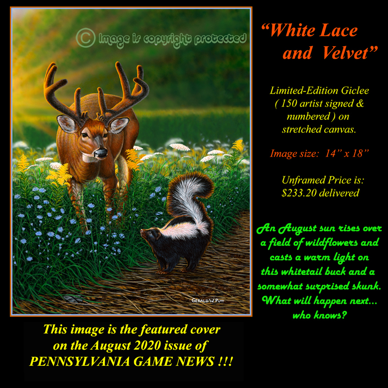 G134 White Lace n Velvet - Buck n Skunk 96.jpg