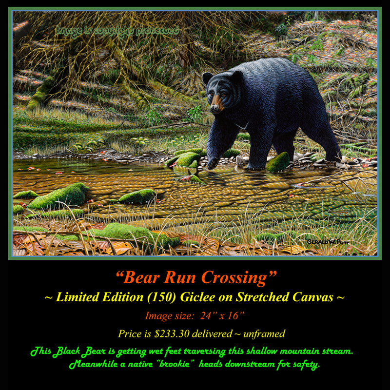 G137 Bear Run Crossing - Black Bear 722.jpg