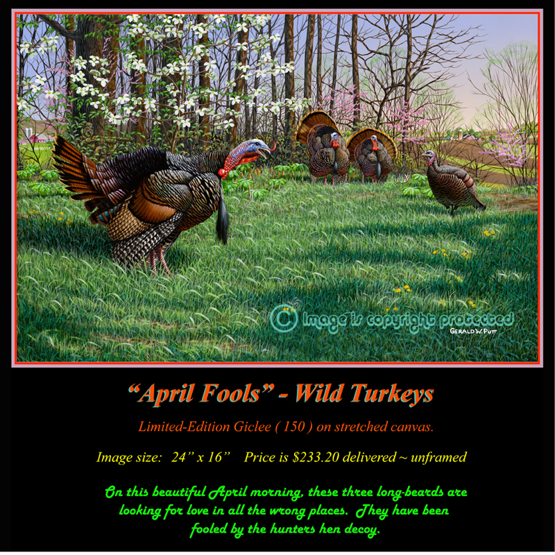 G138 April Fools - Turkeys 72(2).jpg