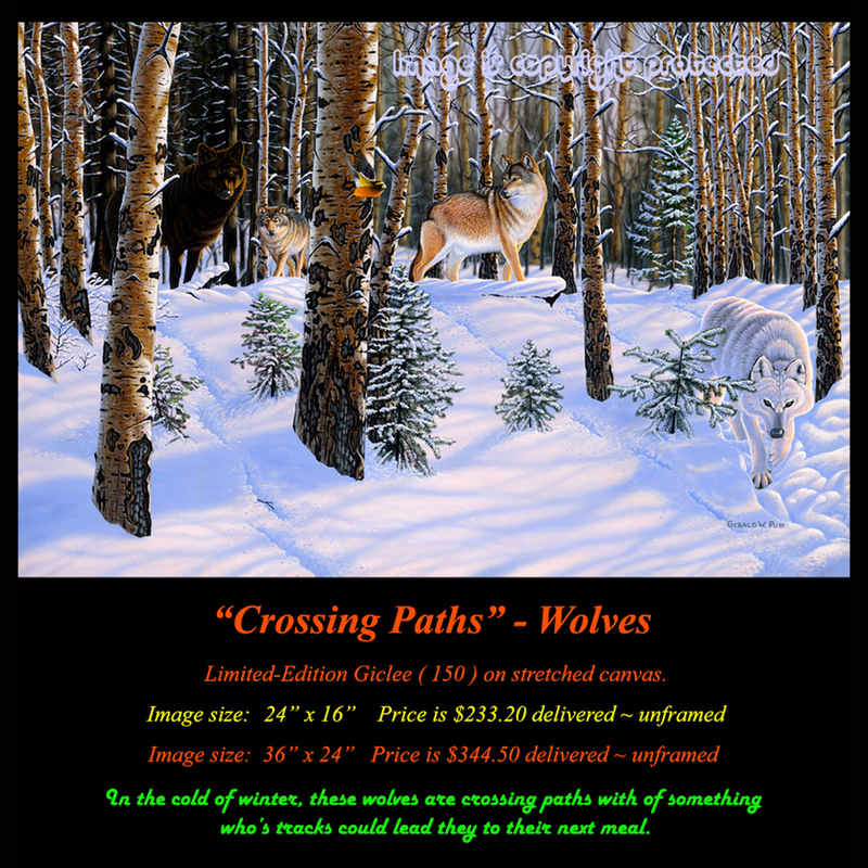 G139 Crossing Paths - Wolves 72.jpg