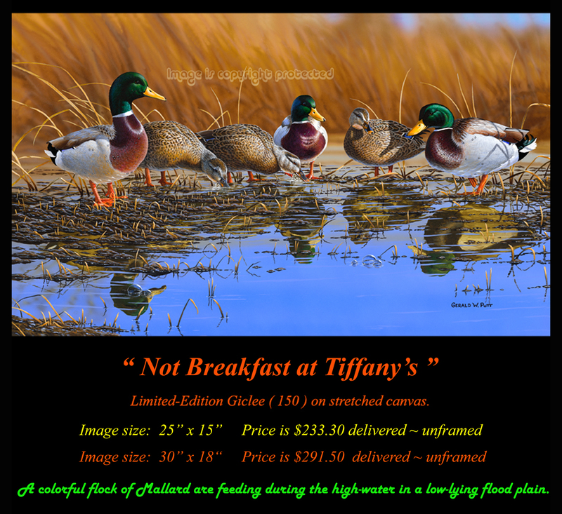 G140 Not Breakfast at Tiffanys - Mallards 72.jpg
